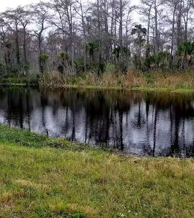 Taylor Creek Stormwater Treatment Area/Nature Trail/Wildlife Preservation Area - Okeechobee, FL