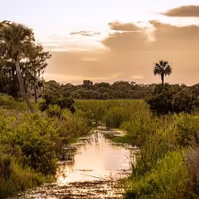 Taylor Creek Stormwater Treatment Area/Nature Trail/Wildlife Preservation Area - Okeechobee, FL