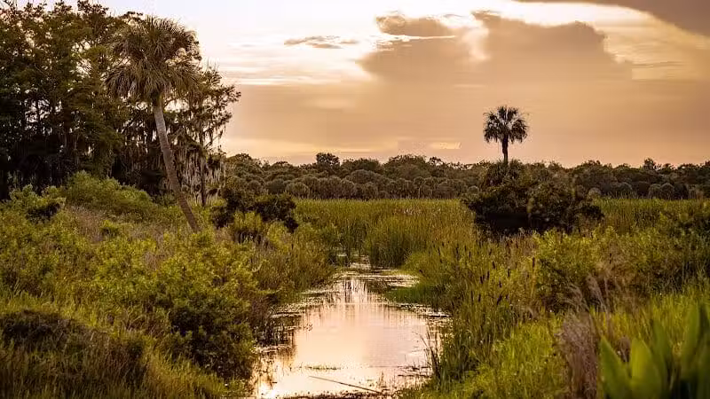 Taylor Creek Stormwater Treatment Area/Nature Trail/Wildlife Preservation Area - Okeechobee, FL