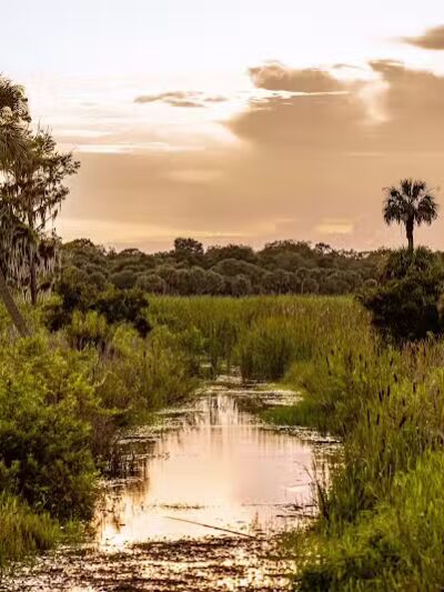 Taylor Creek Stormwater Treatment Area/Nature Trail/Wildlife Preservation Area - Okeechobee, FL