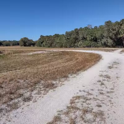 Taylor Creek Stormwater Treatment Area/Nature Trail/Wildlife Preservation Area - Okeechobee, FL