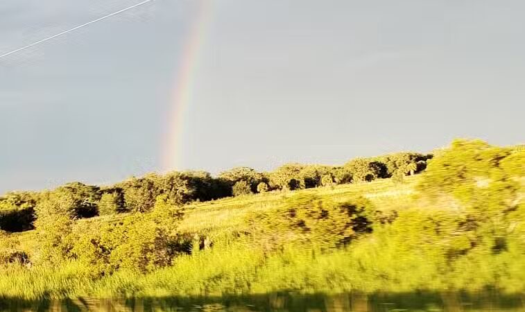 Yeehaw Junction Recreational Park - Okeechobee, FL