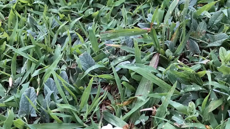 Brock Park - Oklahoma City, OK