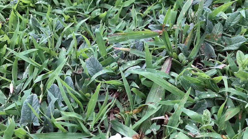 Brock Park - Oklahoma City, OK