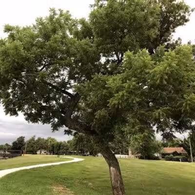 Brock Park - Oklahoma City, OK