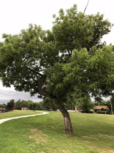 Brock Park - Oklahoma City, OK
