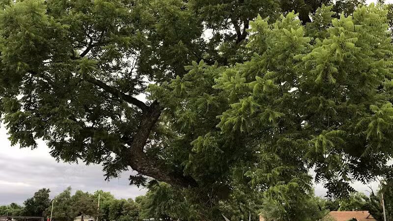 Brock Park - Oklahoma City, OK