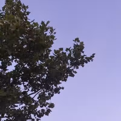 Daniel J. Diggs Park - Oklahoma City, OK