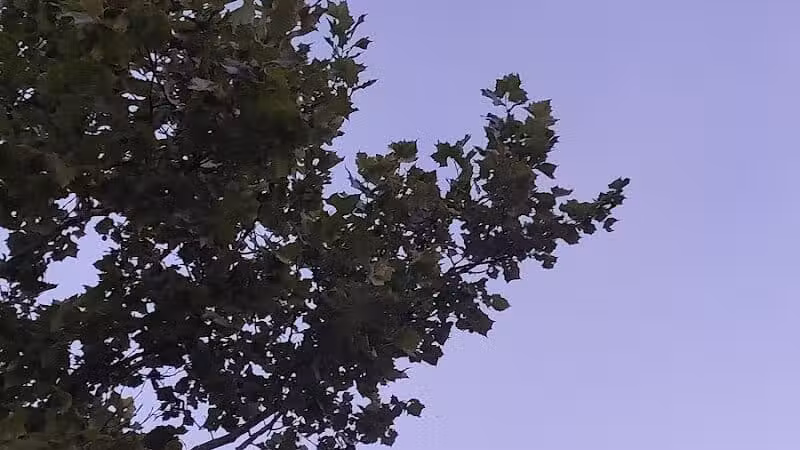 Daniel J. Diggs Park - Oklahoma City, OK