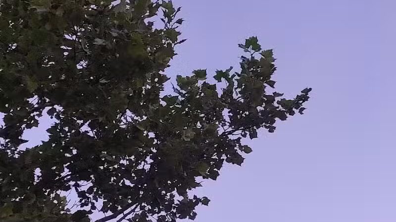 Daniel J. Diggs Park - Oklahoma City, OK