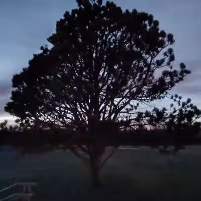 Daniel J. Diggs Park - Oklahoma City, OK