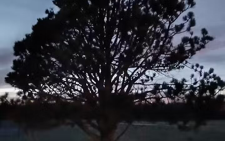 Daniel J. Diggs Park - Oklahoma City, OK