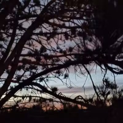Daniel J. Diggs Park - Oklahoma City, OK
