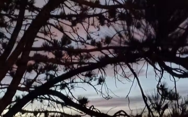 Daniel J. Diggs Park - Oklahoma City, OK