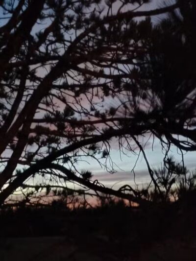 Daniel J. Diggs Park - Oklahoma City, OK