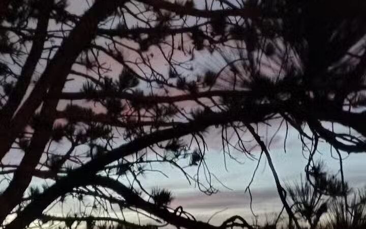 Daniel J. Diggs Park - Oklahoma City, OK