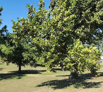 Denniston Park - Oklahoma City, OK