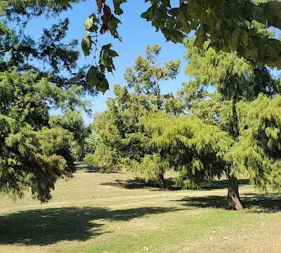 Denniston Park - Oklahoma City, OK