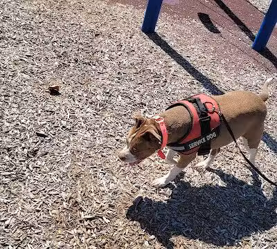 Denniston Park - Oklahoma City, OK