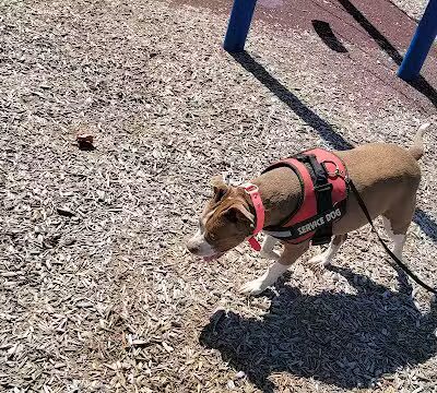 Denniston Park - Oklahoma City, OK