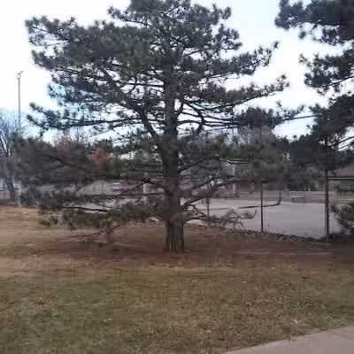 Mackleman Park - Oklahoma City, OK