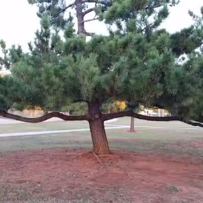 Shallowbrook Park - Oklahoma City, OK