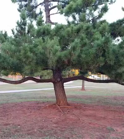 Shallowbrook Park - Oklahoma City, OK