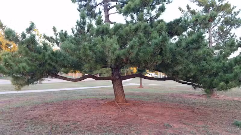 Shallowbrook Park - Oklahoma City, OK