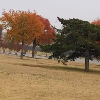 Taylor Park - Oklahoma City, OK