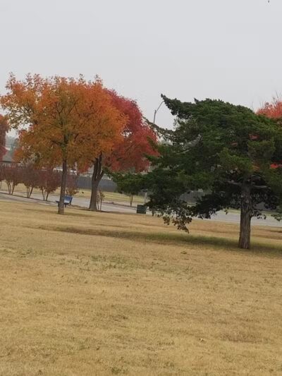 Taylor Park - Oklahoma City, OK