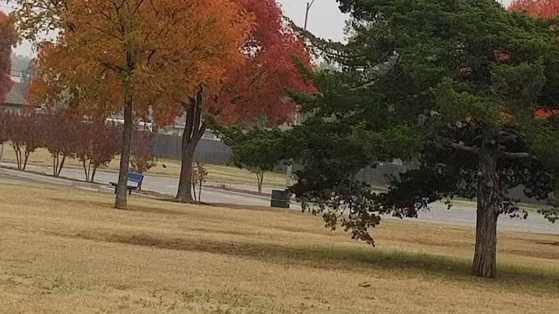 Taylor Park - Oklahoma City, OK