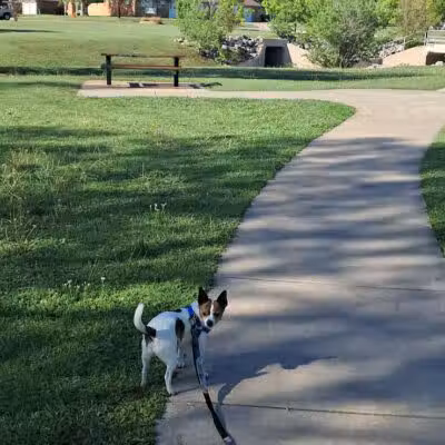 Taylor Park - Oklahoma City, OK