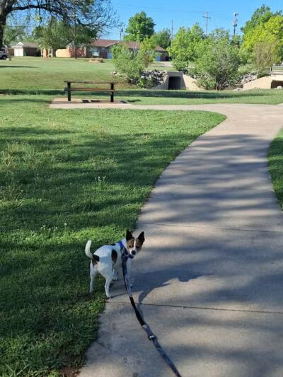 Taylor Park - Oklahoma City, OK