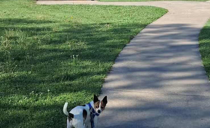 Taylor Park - Oklahoma City, OK
