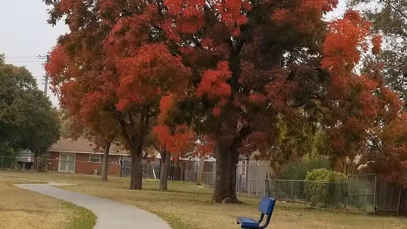 Taylor Park - Oklahoma City, OK