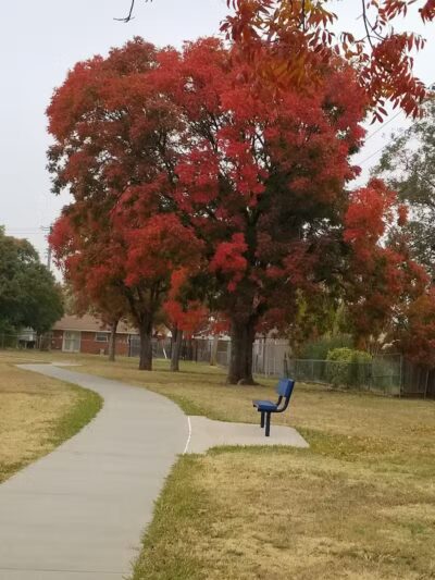 Taylor Park - Oklahoma City, OK