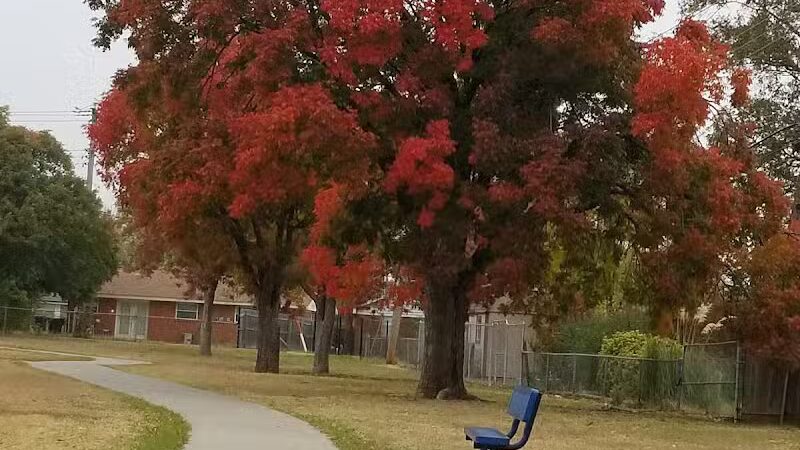 Taylor Park - Oklahoma City, OK
