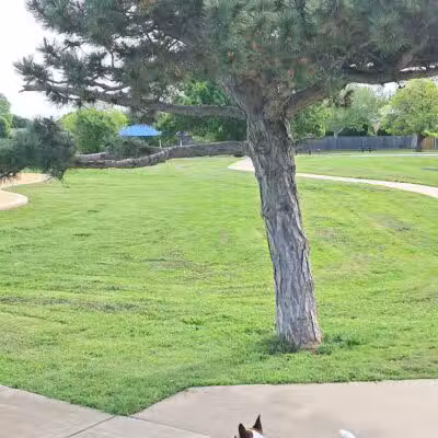 Taylor Park - Oklahoma City, OK