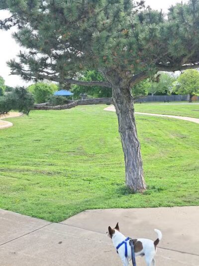 Taylor Park - Oklahoma City, OK