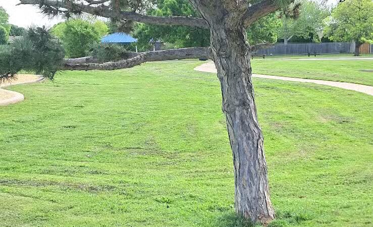 Taylor Park - Oklahoma City, OK