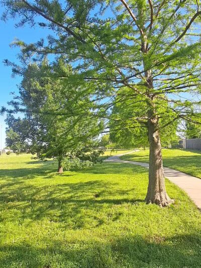 Taylor Park - Oklahoma City, OK