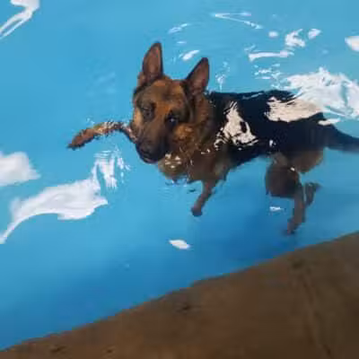 The Water Bark LLC - Oklahoma City, OK