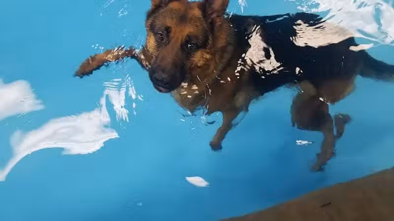 The Water Bark LLC - Oklahoma City, OK