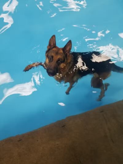 The Water Bark LLC - Oklahoma City, OK