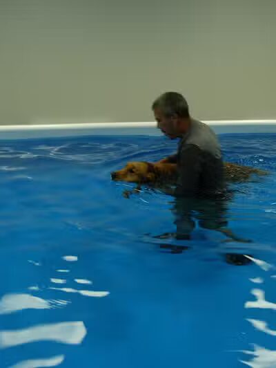 The Water Bark LLC - Oklahoma City, OK