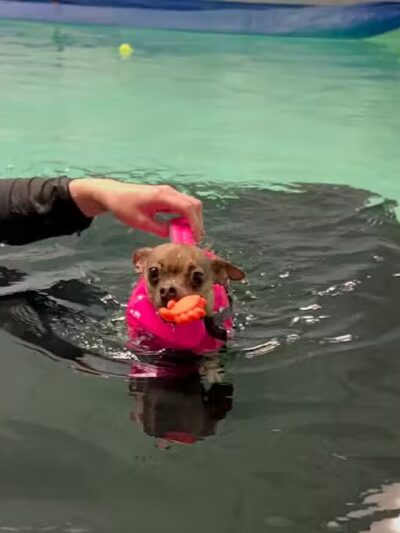 The Water Bark LLC - Oklahoma City, OK