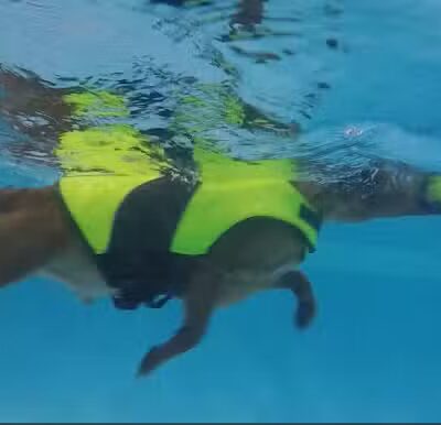 The Water Bark LLC - Oklahoma City, OK