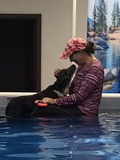 The Water Bark LLC - Oklahoma City, OK