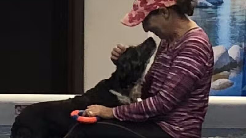 The Water Bark LLC - Oklahoma City, OK