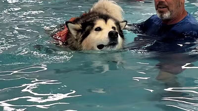 The Water Bark LLC - Oklahoma City, OK